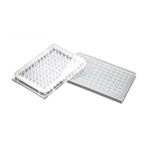 PLATO PARA CULTIVO CELULAR CON TAPA X 48 POZOS FONDO PLANO PS ESTERIL SUPERFICIE TRATADA, LIBRES DE RNAE, DNASE, PIROGENOS ESTERILES - CAJA X 50 UND - SPL