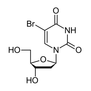 BRDU (5-BROMO-2'-DEOXYURIDINE), THYMIDINE ANALOG - FRASCO X 1 G - ABCAM