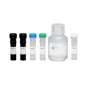 CATALASE ACTIVITY ASSAY KIT (COLORIMETRIC/FLUOROMETRIC) - KIT X 100 TEST - ABCAM