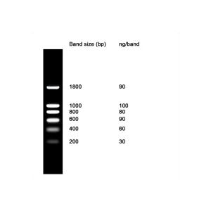 NZYDNA LADDER - VIAL X 15 UL -  NZYTECH