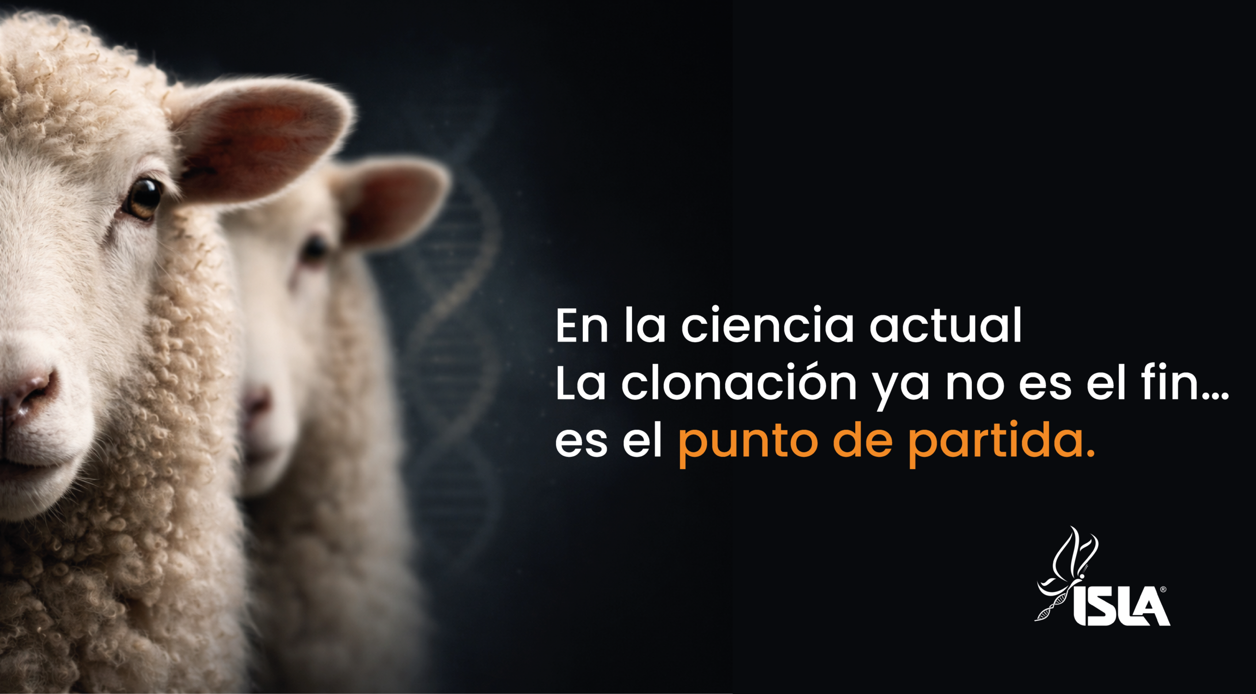 Clonacion-New-England-Biolabs-ISLA