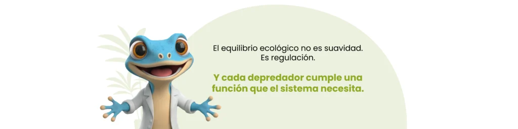 Mantis africana espinosa Pseudocreobotra wahlbergii. Reflexión sobre depredadores y su función en el equilibrio ecológico.