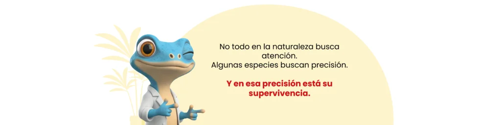 Orquídea Maxillaria rufescens. Reflexión sobre especies que basan su supervivencia en precisión evolutiva, no en llamar la atención.