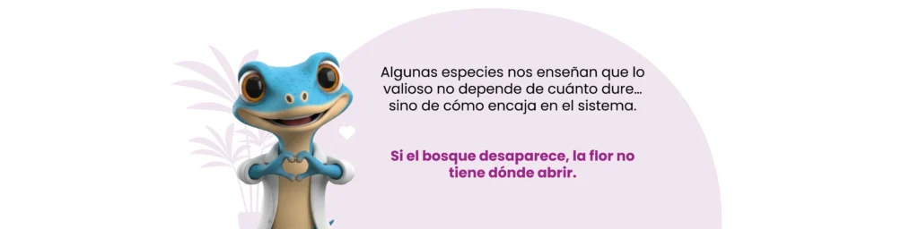 Orquídea bambú Sobralia dichotoma en bosque. Reflexión sobre especies que dependen de ecosistemas saludables para sobrevivir.