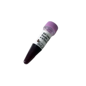 B7024S