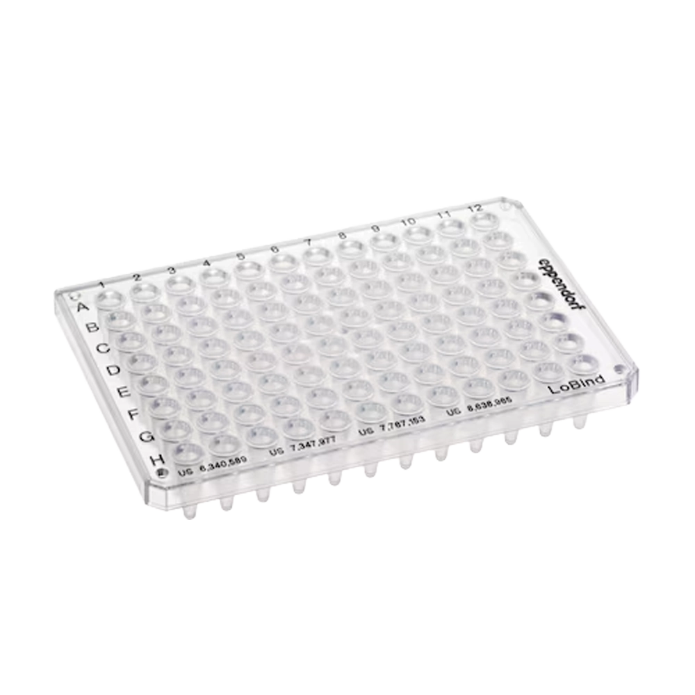 0030129504