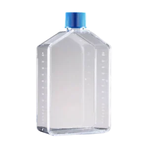 71175